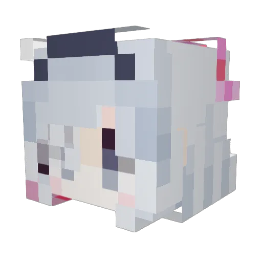 23521513 Minecraft avatar head, 3D render