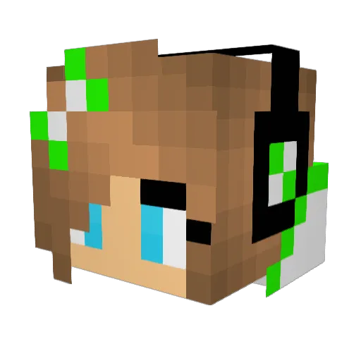 2358_vvronswan Minecraft avatar head, 3D render