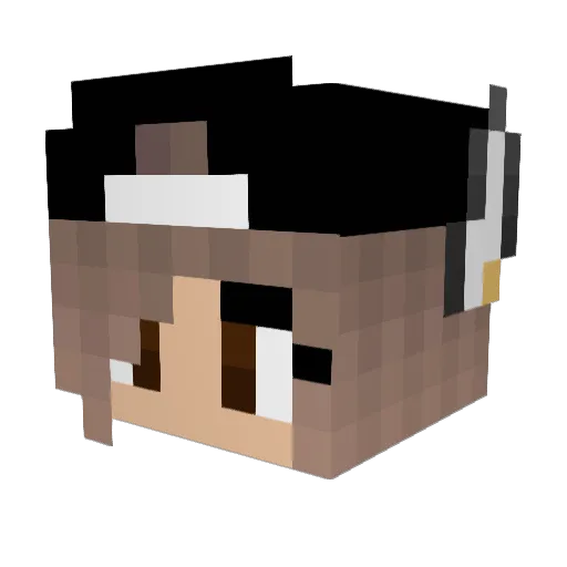 23up Minecraft avatar head, 3D render