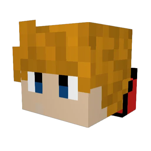 246doesstuffYT Minecraft avatar head, 3D render
