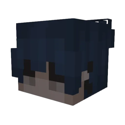 248_839_8053 Minecraft avatar head, 3D render