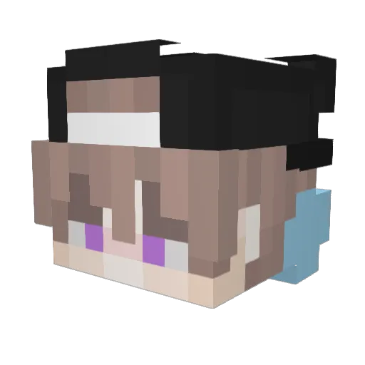 24Fannned Minecraft avatar head, 3D render