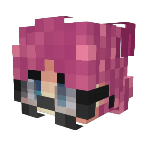 24Framed Minecraft avatar head, 3D render