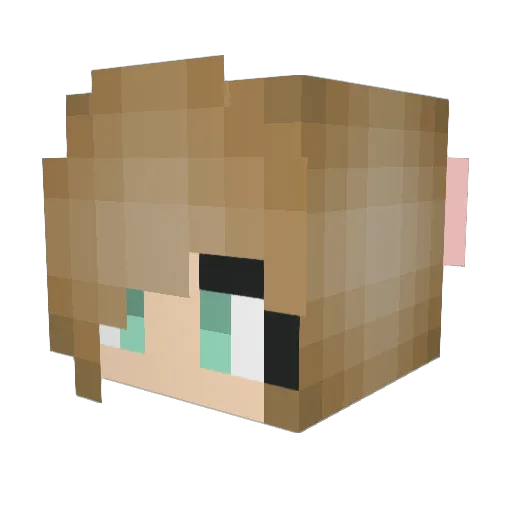 24Paula Minecraft avatar head, 3D render