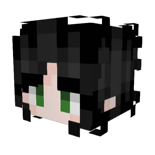 24V3N Minecraft avatar head, 3D render
