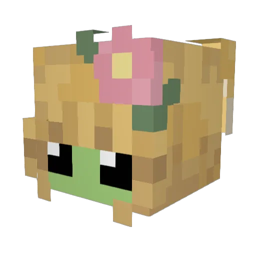 24minecraftsam Minecraft avatar head, 3D render