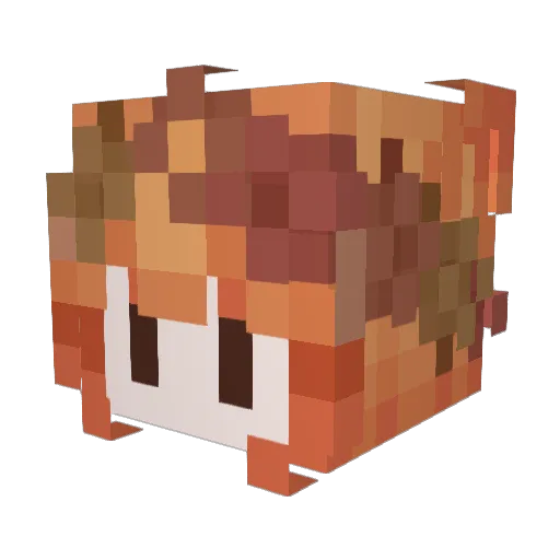 24ru Minecraft avatar head, 3D render