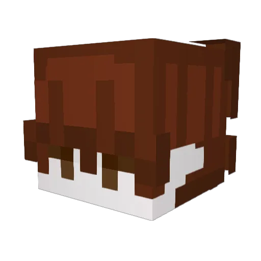 24st_ Minecraft avatar head, 3D render