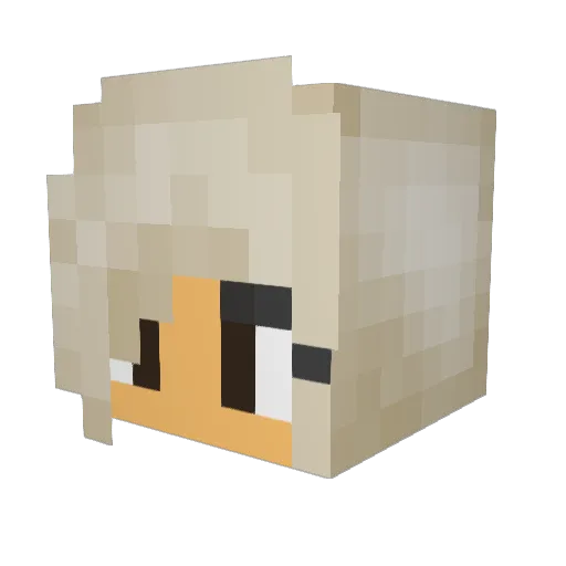 24will Minecraft avatar head, 3D render