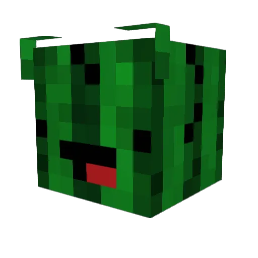 255EzzLefty Minecraft avatar head, 3D render