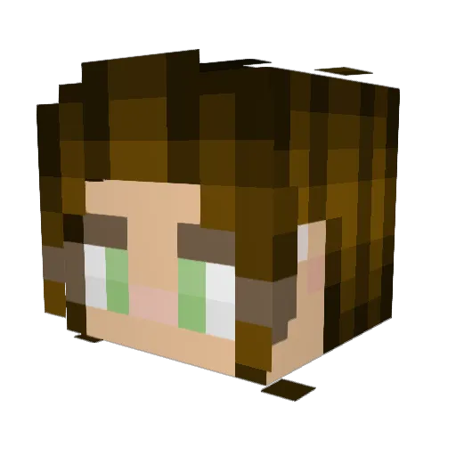 256GB_RAM Minecraft avatar head, 3D render