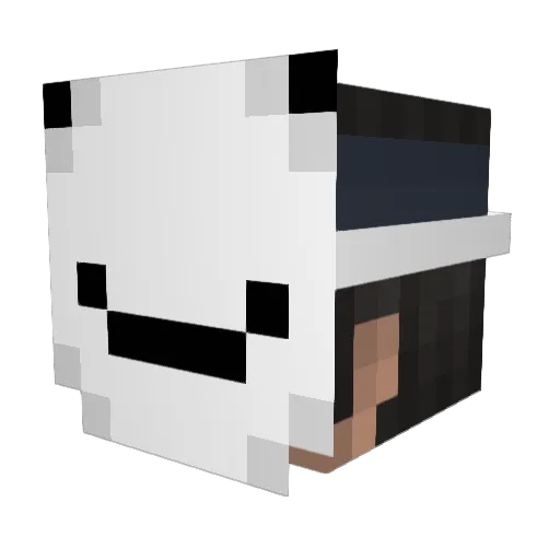 25Nick Minecraft avatar head, 3D render