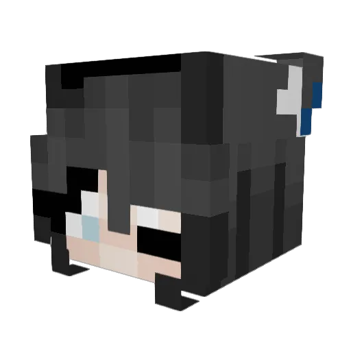 25yeht Minecraft avatar head, 3D render