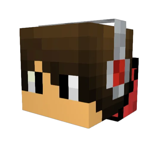 260gamerfly Minecraft avatar head, 3D render