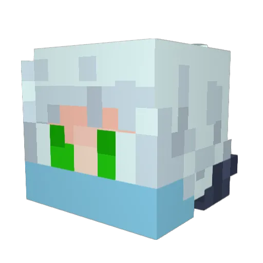 26Bray Minecraft avatar head, 3D render