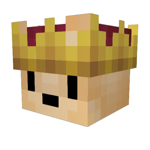 26nicoolaasalwyr Minecraft avatar head, 3D render