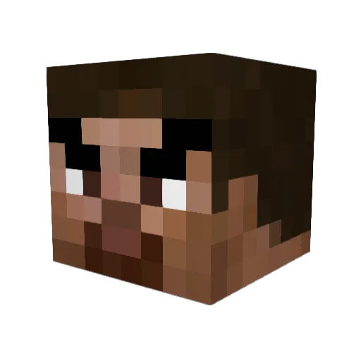 275 Minecraft avatar head, 3D render
