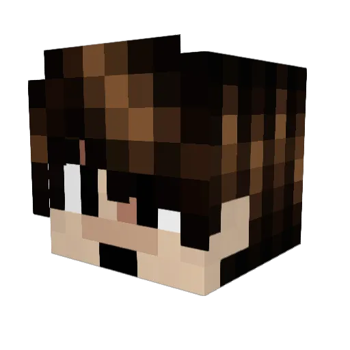 27HuGo Minecraft avatar head, 3D render
