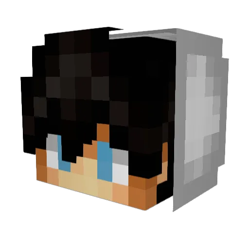 27Reh Minecraft avatar head, 3D render