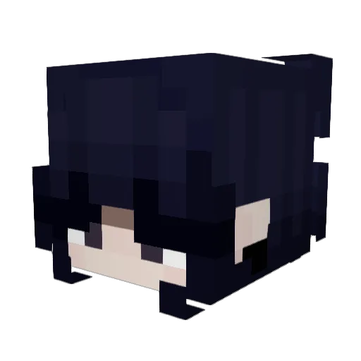 27Sublime Minecraft avatar head, 3D render