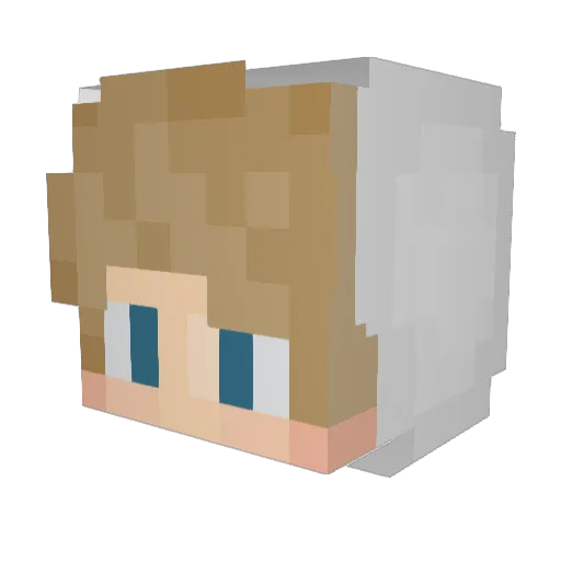 27Topaz Minecraft avatar head, 3D render