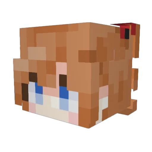 27USD Minecraft avatar head, 3D render