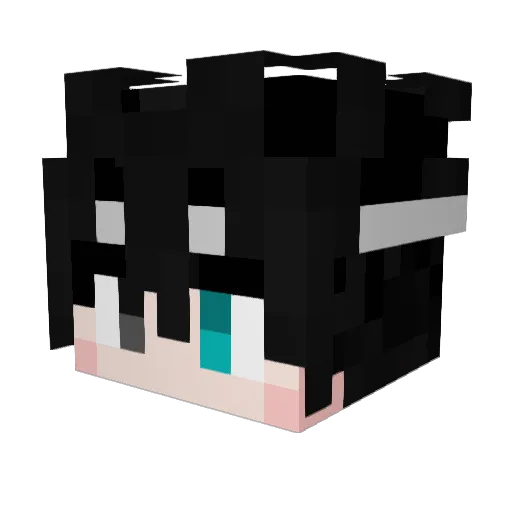 27bz Minecraft avatar head, 3D render