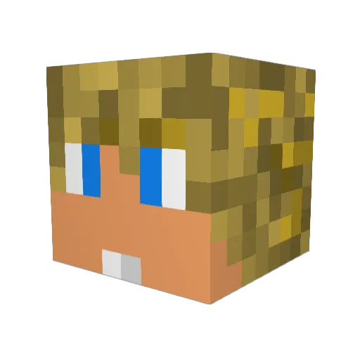 2807William Minecraft avatar head, 3D render