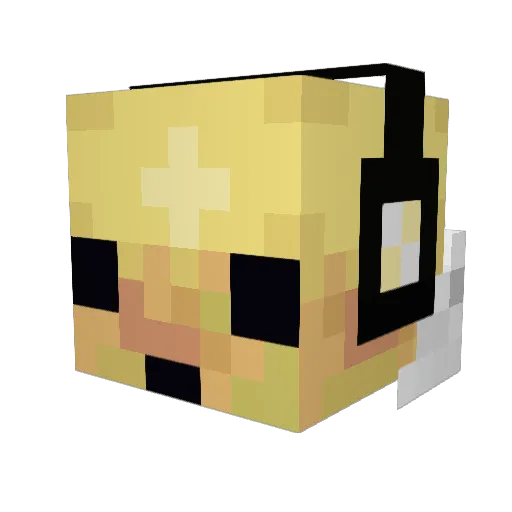 282 Minecraft avatar head, 3D render