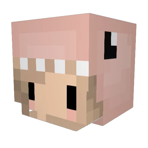 289ML Minecraft avatar head, 3D render