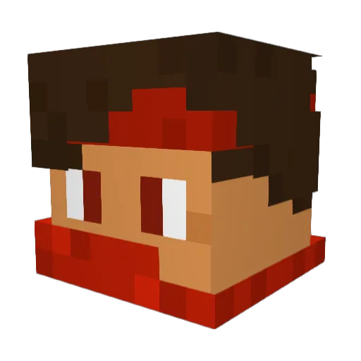 28_Dassaier_12 Minecraft avatar head, 3D render