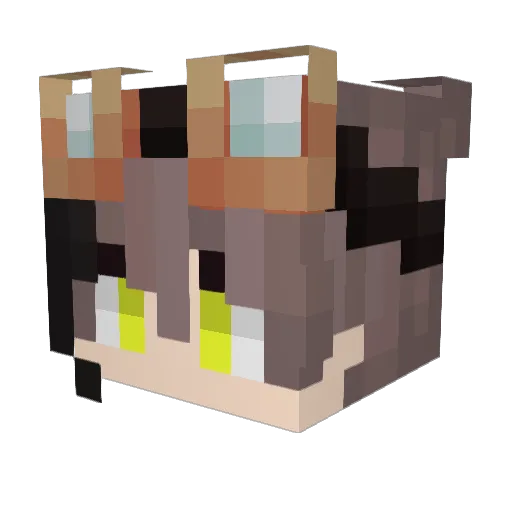 28xy Minecraft avatar head, 3D render