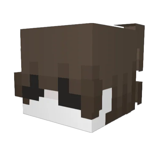 292Ghostboy Minecraft avatar head, 3D render
