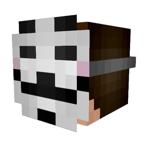 29Braden Minecraft avatar head, 3D render