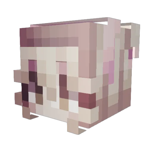 29gni Minecraft avatar head, 3D render