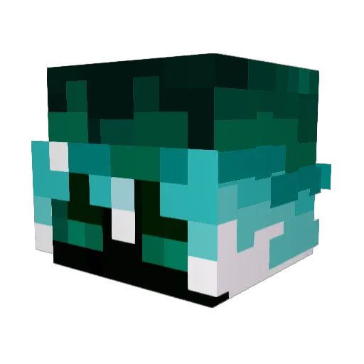 2AMBingus Minecraft avatar head, 3D render