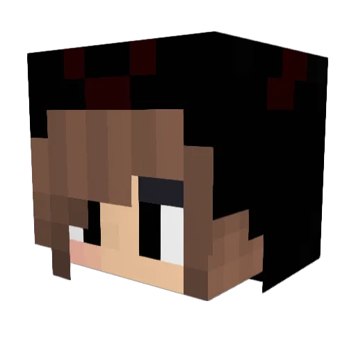 2Armiger_3Beiner Minecraft avatar head, 3D render