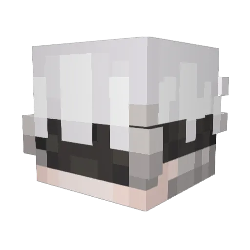 2Bx9S Minecraft avatar head, 3D render