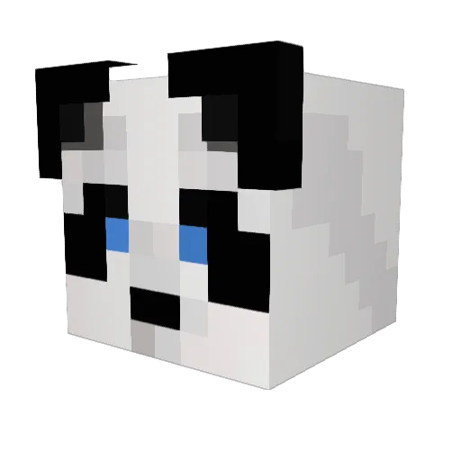 2Cool4School Minecraft avatar head, 3D render