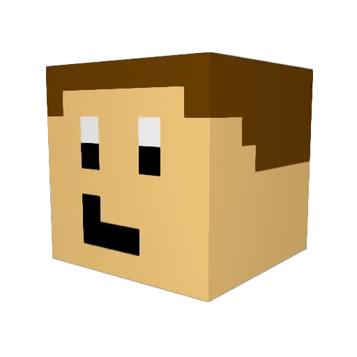 2DOTMAN Minecraft avatar head, 3D render