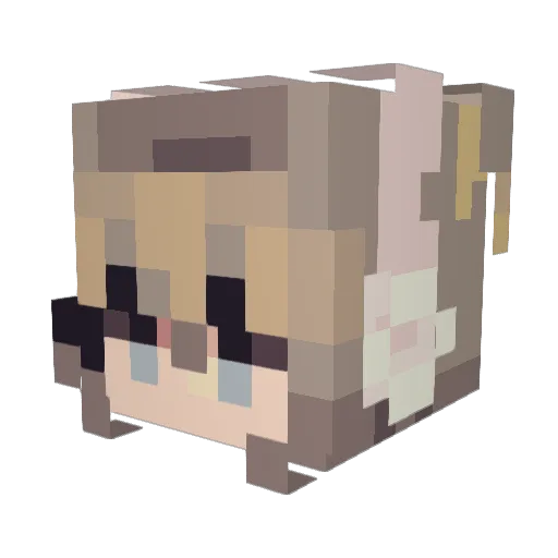 2Dank4U Minecraft avatar head, 3D render