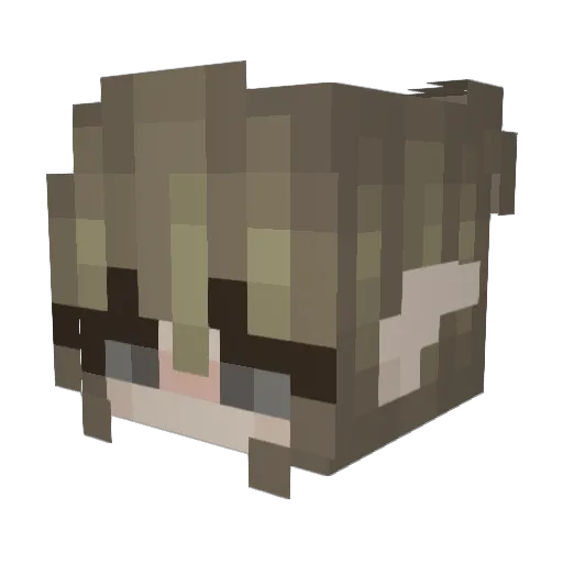 2Dgh0st Minecraft avatar head, 3D render