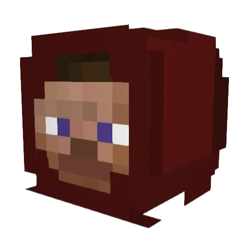 2DogsLaaa Minecraft avatar head, 3D render