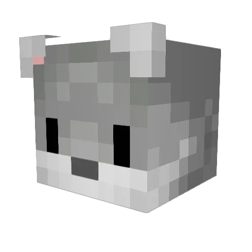 2Dynamic Minecraft avatar head, 3D render