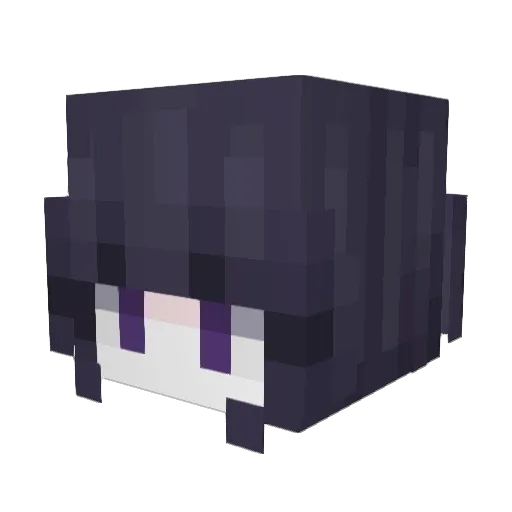 2F5 Minecraft avatar head, 3D render