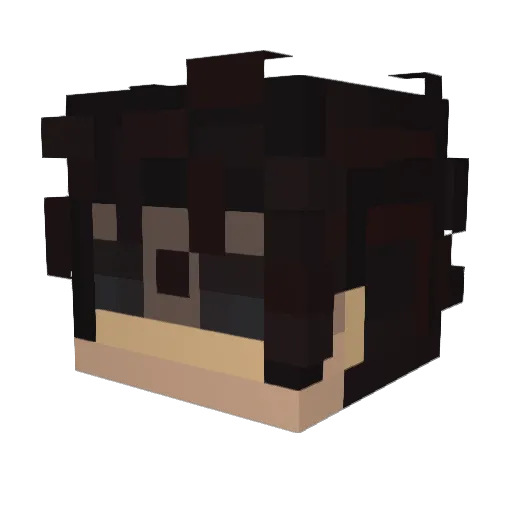 2FASTDW Minecraft avatar head, 3D render