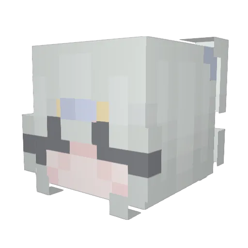 2FM Minecraft avatar head, 3D render