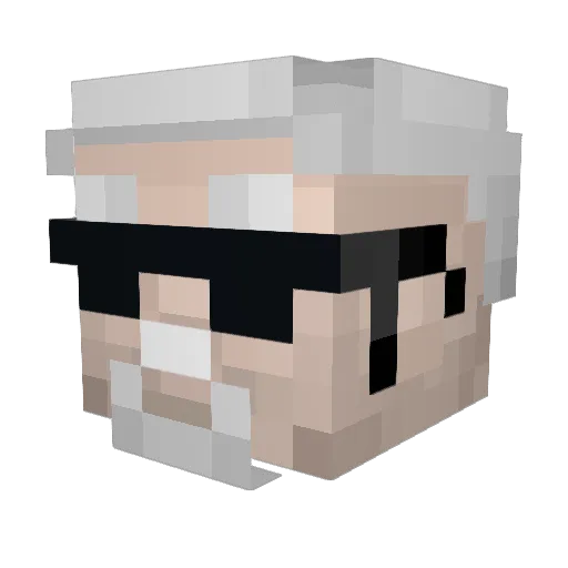 2Gamer2Wipe Minecraft avatar head, 3D render