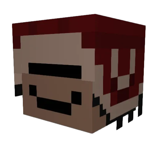 2HYP3DD Minecraft avatar head, 3D render
