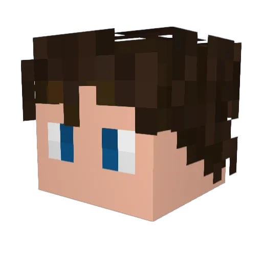 2Idiots_Leon Minecraft avatar head, 3D render